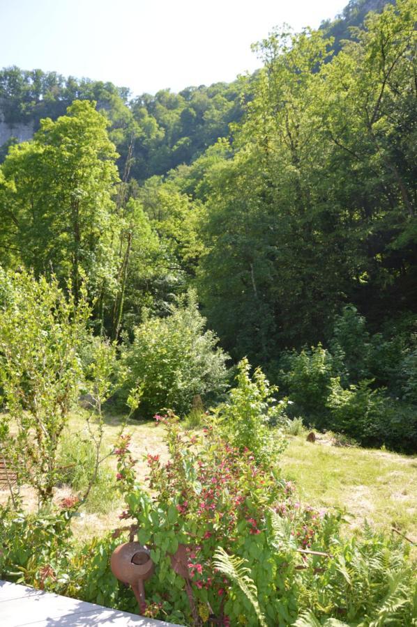 Moulin De La Cuse - L'Ilote Bed & Breakfast Cusance Bagian luar foto