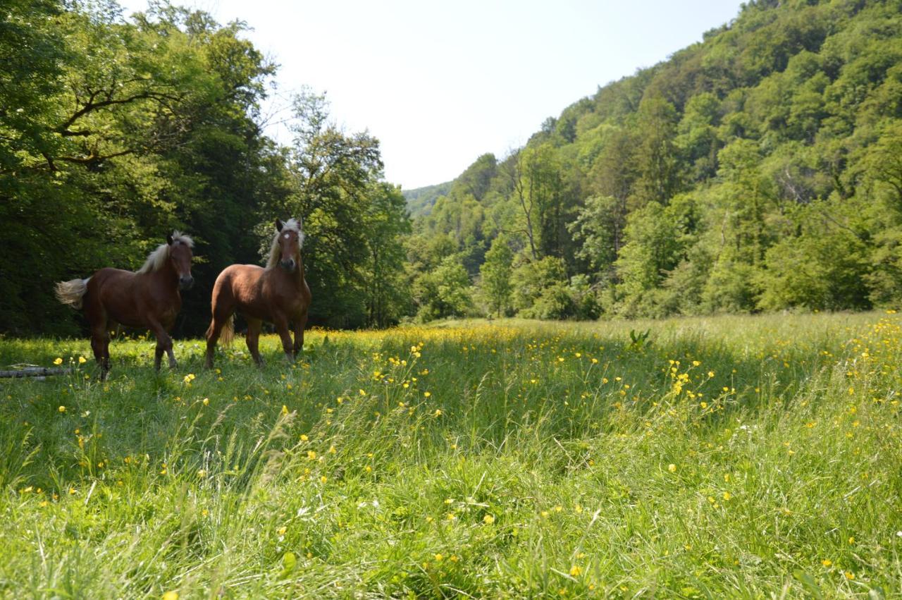 Moulin De La Cuse - L'Ilote Bed & Breakfast Cusance Bagian luar foto